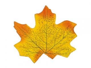 Li�cie klonu materia�owe 80x75mm 10szt. pomara�czowo-��te