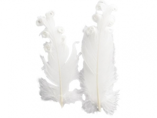 Pi�rka dekoracyjne curly 6szt. bia�e