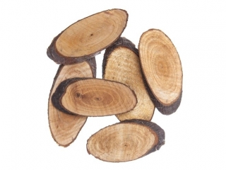 PLASTRY DREWNA OWAL, 6 SZT. Fi-5-8 CM [opakowanie=6szt] NZWR-DLP