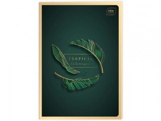 Zeszyt A4 60k, INTERDRUK Metallic, linia