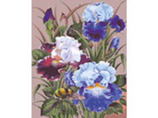 Malowanie po numerach 40x50cm IRYSY pionowy