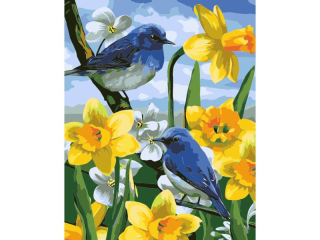 Malowanie po numerach 40x50cm PTASZKI NA �ONKILACH pionowy