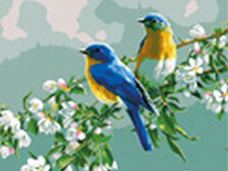 Malowanie po numerach 40x50cm PTAKI poziomy