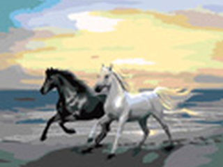 Malowanie po numerach 40x50cm KONIE poziomy