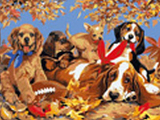 Malowanie po numerach 30x40cm PSY poziomy