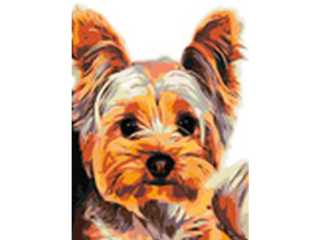 Malowanie po numerach 30x40cm YORK pionowy