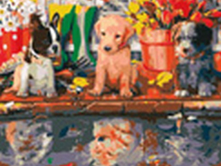 Malowanie po numerach 30x40cm SZCZENI�TA Z ODBICIEM W WODZIE JAKO WILKI poziomy