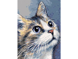 Malowanie po numerach 30x40cm KOT pionowy