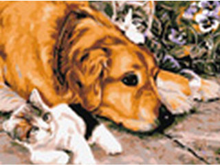 Malowanie po numerach 30x40cm PIES/KOT poziomy