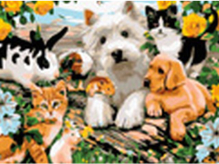 Malowanie po numerach 30x40cm ZWIERZ�TA poziomy