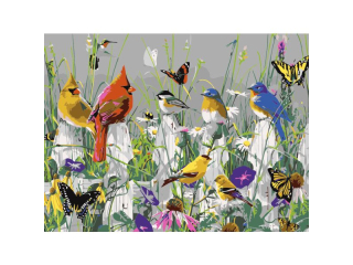 Malowanie po numerach 30x40cm PTASZKI poziomy