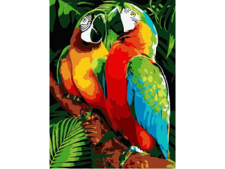 Malowanie po numerach 30x40cm PAPUGI pionowy