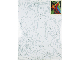 Malowanie po numerach 30x40cm PAPUGI pionowy