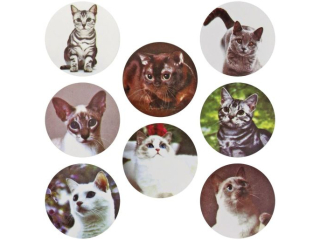 Naklejki papierowe na ta�mie 8 wzor�w koty O25mm 500szt. szeroko�� ta�my 28mm