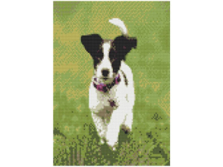 MOZAIKA DIAMENTOWA 30x40 cm, PIONOWA, WZ�R: JACK RUSSELL FLAMINGO LINE