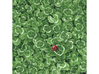 Serwetki POL-MAK Daisy Lunch 33cm 20szt. Clover Background with Ladybug SDOG034101 [opakowanie=24szt]