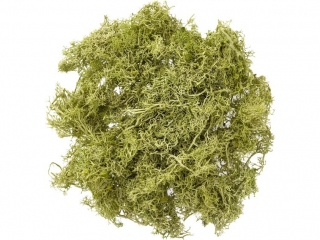 MECH JASNOZIELONY, 30 G [opakowanie=3szt] NZWR-DLP