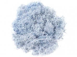 MECH NIEBIESKI, 30G [opakowanie=3szt] NZWR-DLP