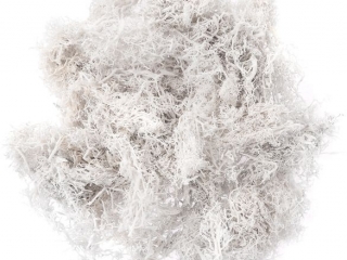 MECH BIA�Y, 30G [opakowanie=3szt] NZWR-DLP