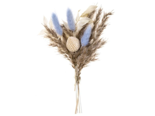 MINI BUKIET SUSZONYCH KWIAT�W, OK. 20 CM "SAVANNAH BLUE" NZWR-DLP