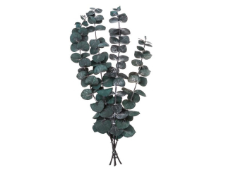 EUKALIPTUS BABY BLUE, 4 GA��ZKI, OK. 20 CM, ZIELONY NZWR-DLP