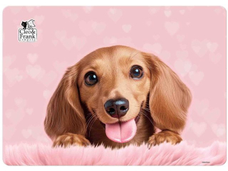 PODK�ADKA LAMINOWANA CLEO I FRANK 46 (PIES) [opakowanie=10szt]