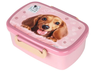 �NIADANI�WKA A CLEO I FRANK 46