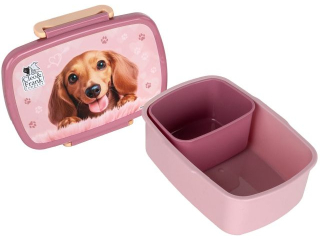 �NIADANI�WKA A CLEO I FRANK 46