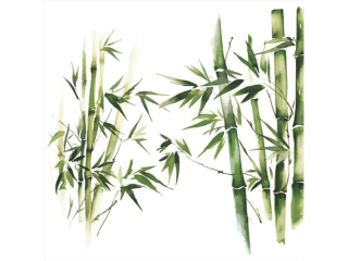 Serwetki POL-MAK Daisy Lunch 33cm 20szt. Green Bamboo SD_OG_044401 [opakowanie=24szt]