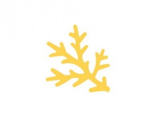 DZIURKACZ OZDOBNY 3, 7CM GA��ZKA SOSNY BN-DLP