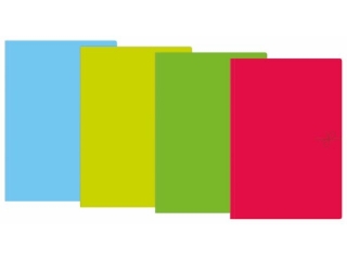 Teczka wiązana A4+ INTERDRUK Fluo Mix kolor