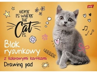 Blok rysunkowy z kolorowymi kartkami A3 16 kartek okadka kredowana 80 g/m2 [opakowanie=10szt]