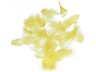 Pirka PAULA 10g te jasne