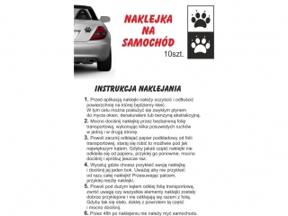 Naklejka na samochód świnka