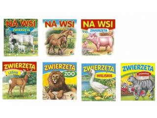 Ksi��eczka Harmonijkowa