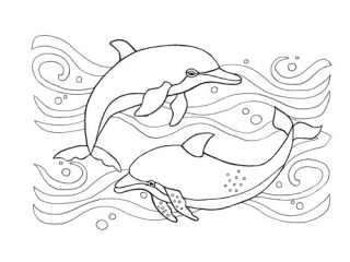 Kolorowanka B5 Modego Artysty - Galeria 5 GAL-103 "Morski wiat"