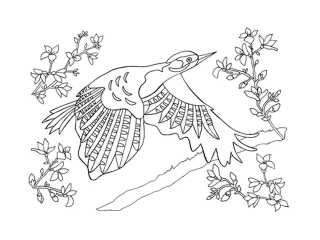 Kolorowanka B5 Modego Artysty - Galeria 3 GAL-101 "Ptaki"