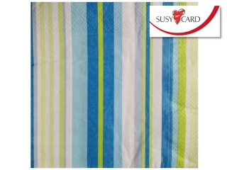 SERWETKI SUSY (3warst)