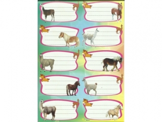Naklejki na zeszyty POLSYR Due - lamy 25ark.