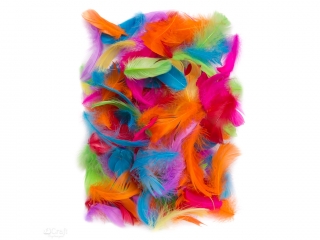 Pi�rka DPCRAFT 5-12cm 10g Brights