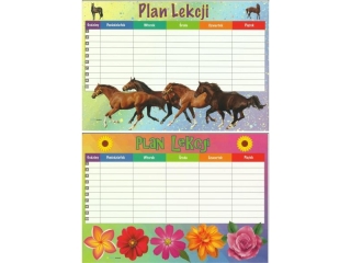 Plan lekcji POLSYR A4 25ark. - konie/kwiaty