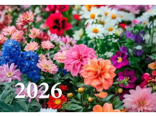 Kalendarz trjdzielny Wydawnictwo Diecezjalne - Kwiaty 2026