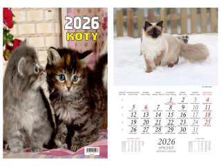 Kalendarz wieloplanszowy BESKIDY  W03 13 zdjciowy Koty 2026