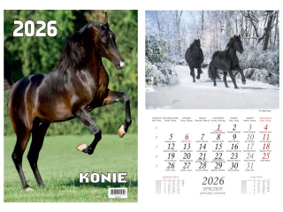 Kalendarz wieloplanszowy BESKIDY  W06 13 zdjciowy Konie 2026