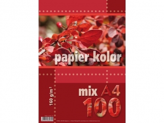Papier ksero kolorowy A4 100k. KRESKA  mix 160g