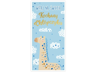 Kartka z okacji narodzin KZK DL nr. 9 "Witaj na wiecie Kochany Chopczyku"