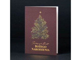 Karnet Święta BN B6 Złocono-Tłoczony ACH 034