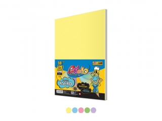 Papier ksero kolorowy PASTELLO A4  50ark. 160g MIX PASTEL
