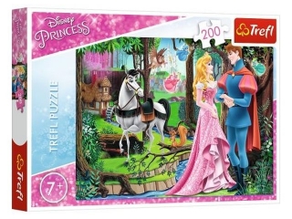 Puzzle  200 TREFL  Spotkanie w lesie / Disney Princess
