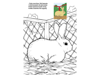 Kolorowanka KRZESIEK A4 16k. Zwierzęta wokół nas mix